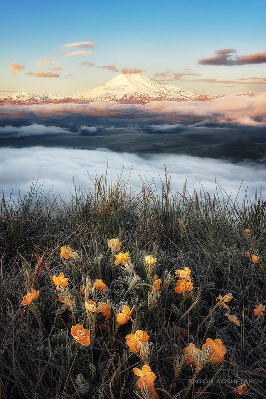 Вид на Эльбрусphoto preview