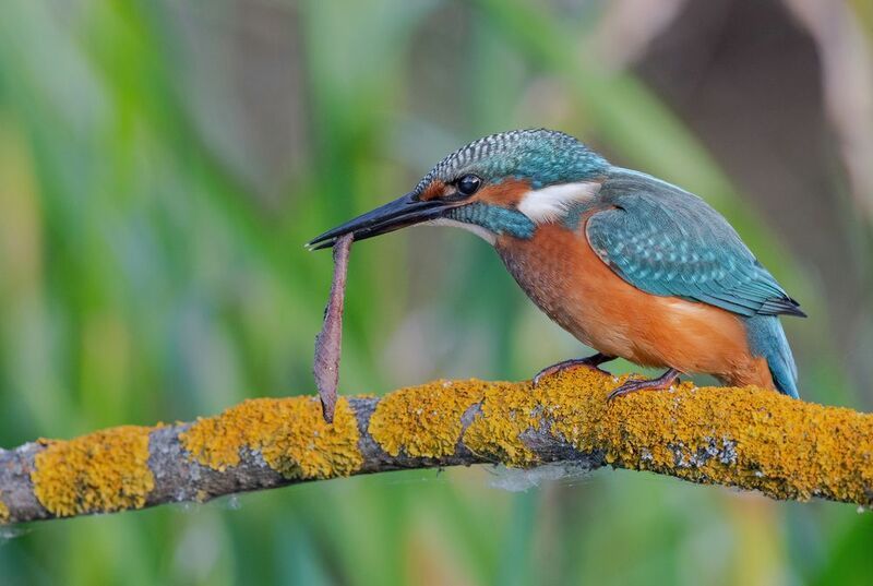 Закручу самокруткуphoto preview