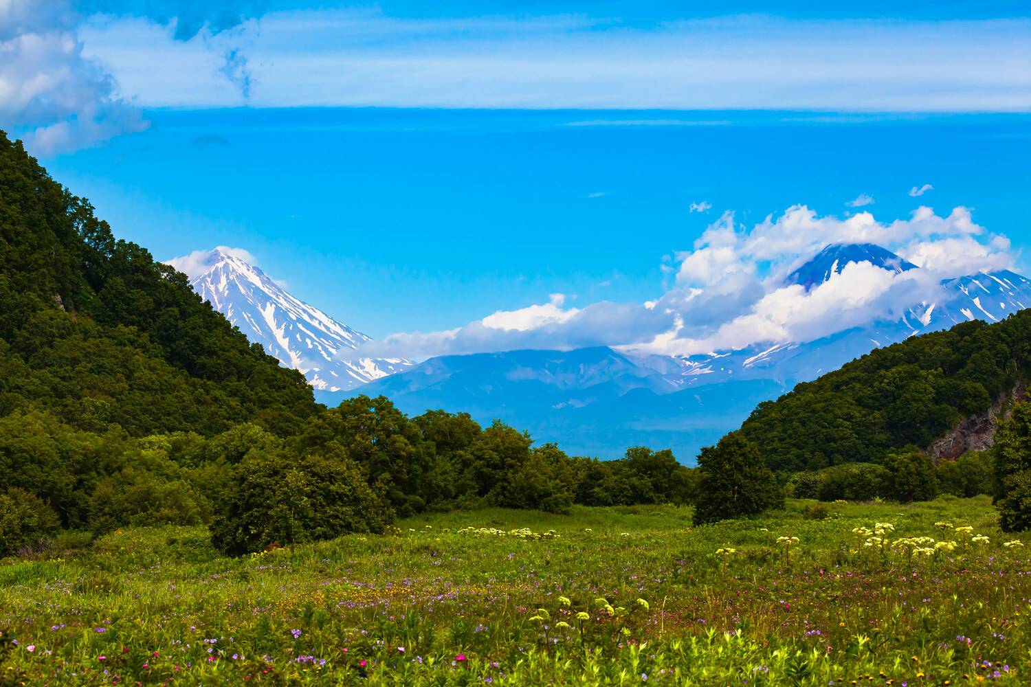 Камчатское лето. Автор: Уткин Дмитрий камчатка, вулканы, поляна, лето, Уткин Дмитрий
