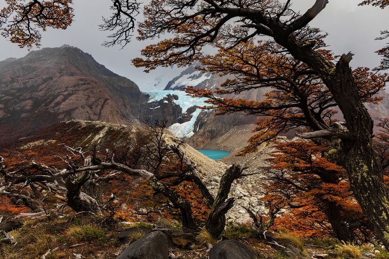 аргентина, патагония, argentina, patagonia, glacier, ледник Patagoniaphoto preview