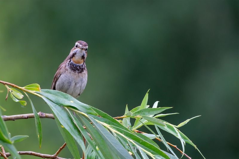 Ты меня снимаешь?photo preview