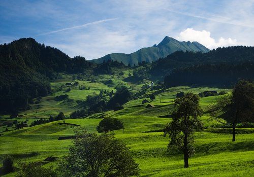 Альпийские луга