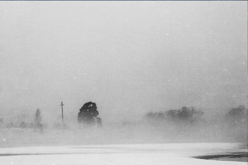The Mist
