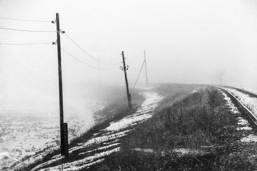 The Mist. Pt.2