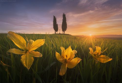 Апрель
