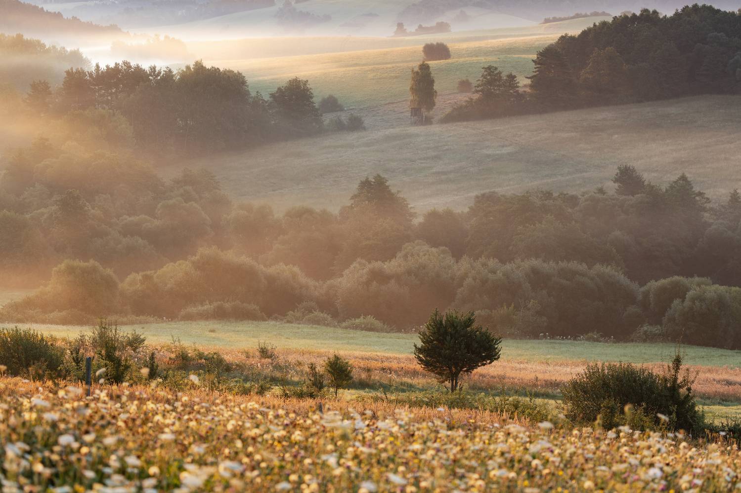 ,  Mirosław Pruchnicki