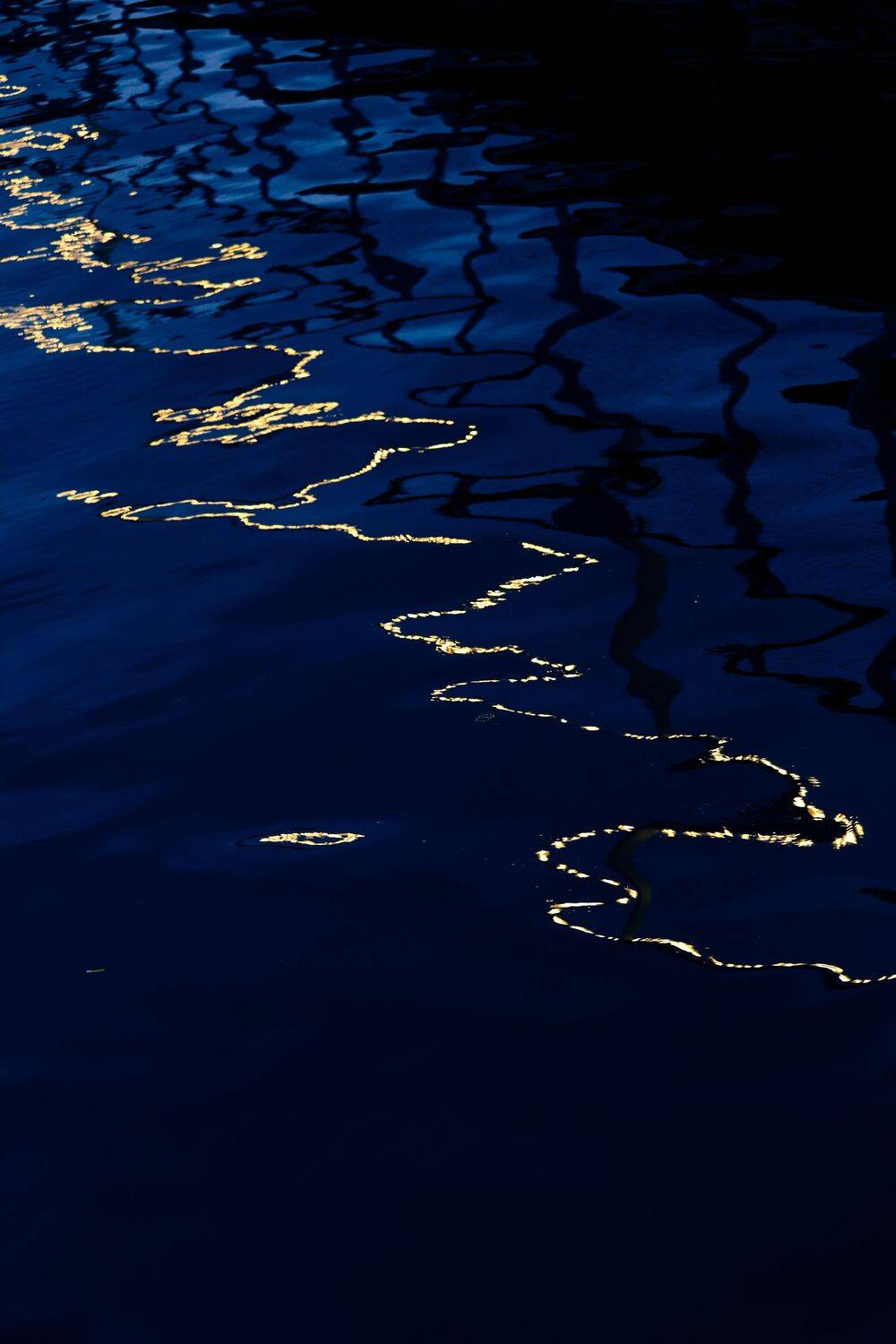 Автор: Svetlana Moskvina , Svetlana Moskvina