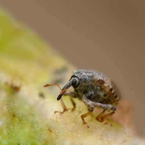 Грустный в гору не пойдет...