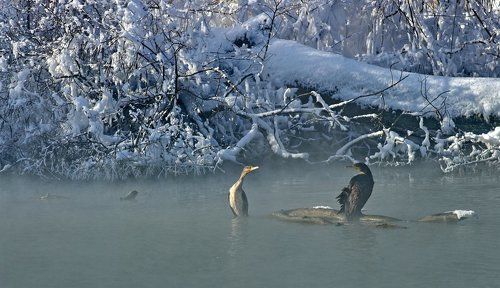 Чё надо.... моё место