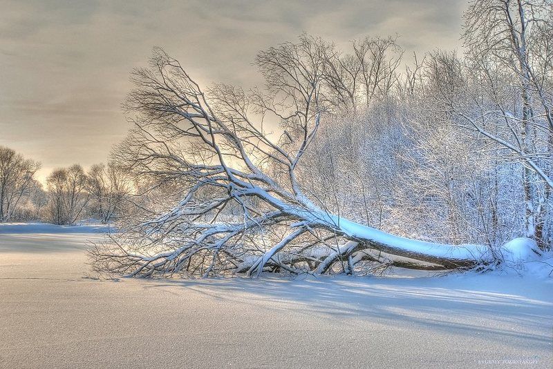 Зимняя фантазияphoto preview