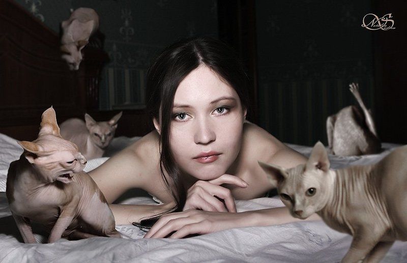 Женщина произошла от кошкиphoto preview