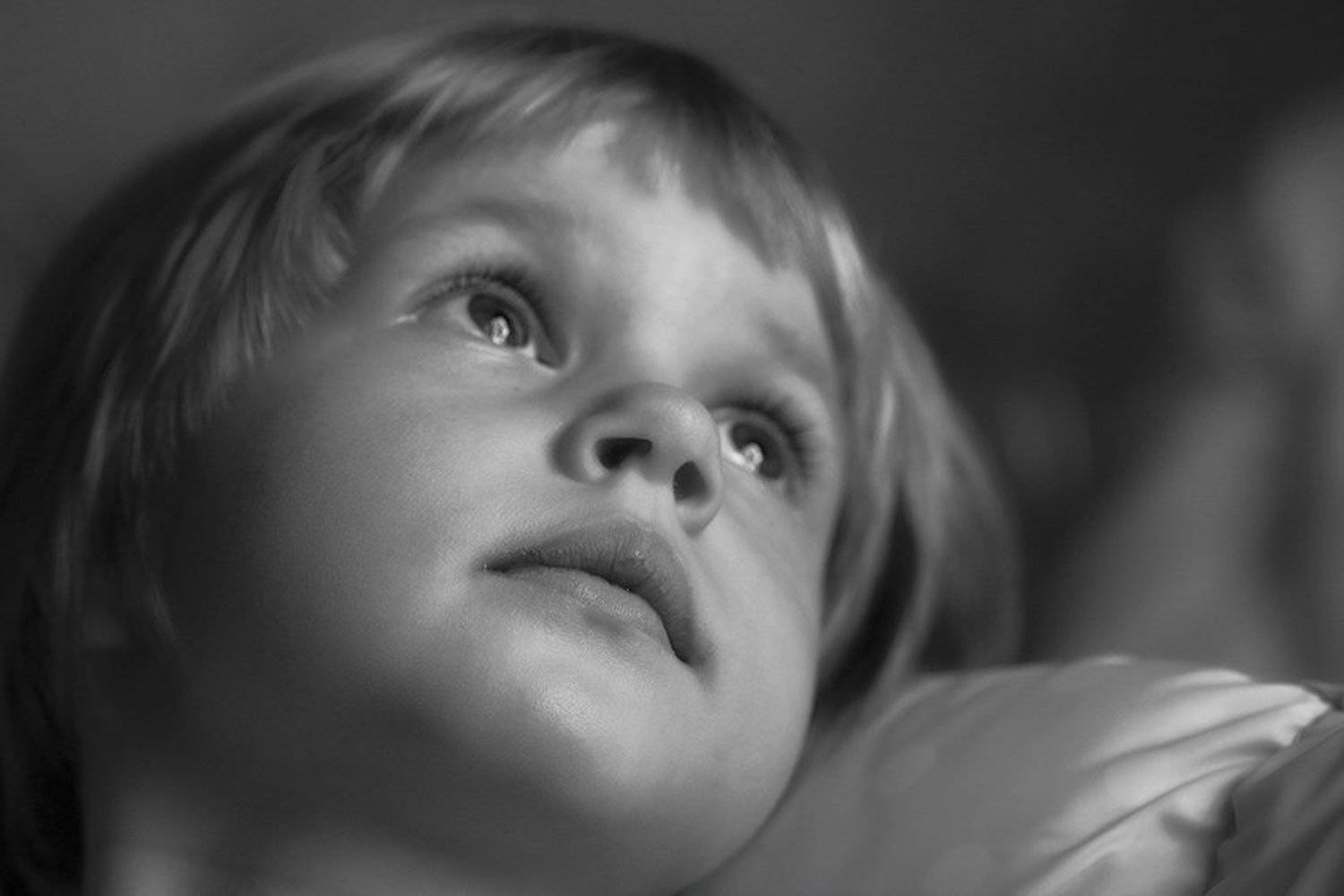 Мечты. Автор: Василий Хураев день, рождения, полина, свет, мечты, Василий Хураев