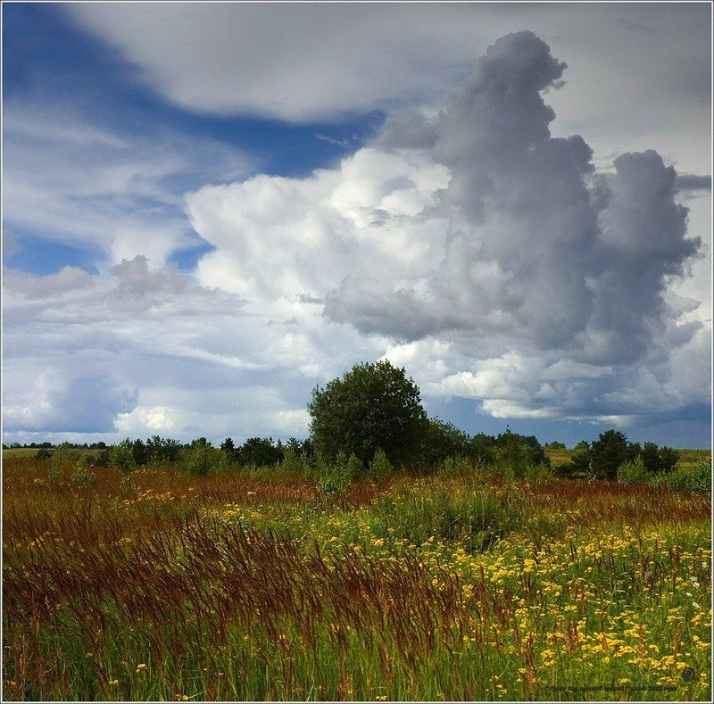 Гроза над красной травойphoto preview