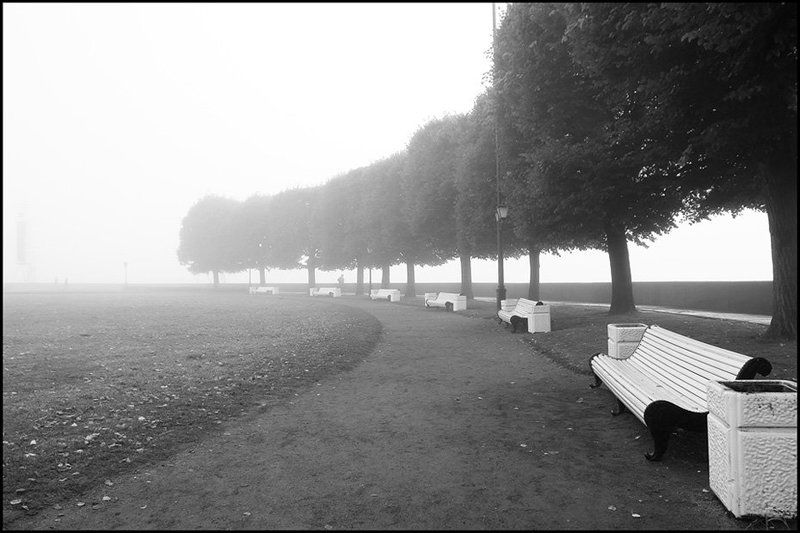 санкт-петербург,стрелка,туман,пейзаж Asymmetriaphoto preview