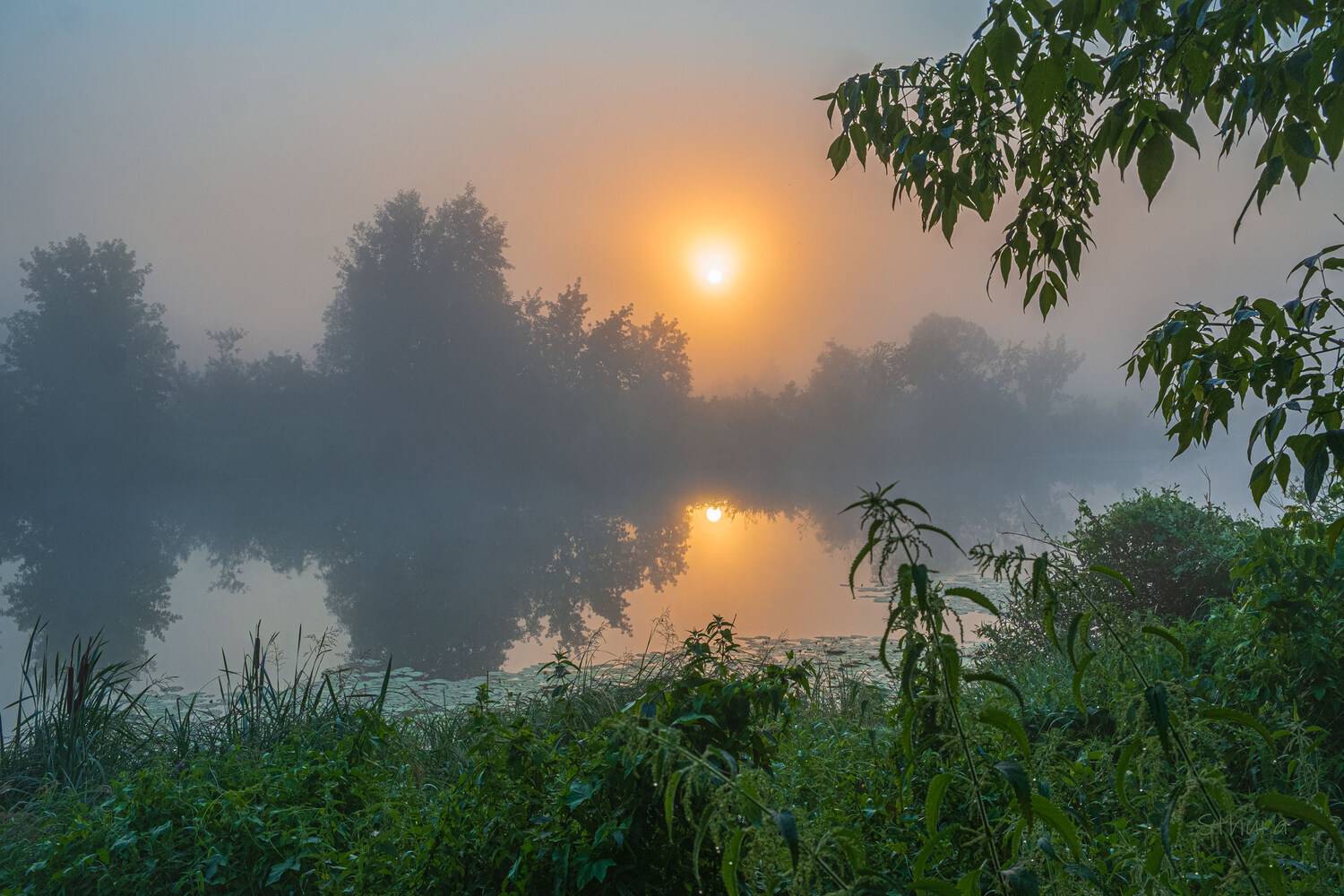 Летнее утро.. Автор: Александр Строков лето озеро рассвет туман природа пейзаж, Александр Строков