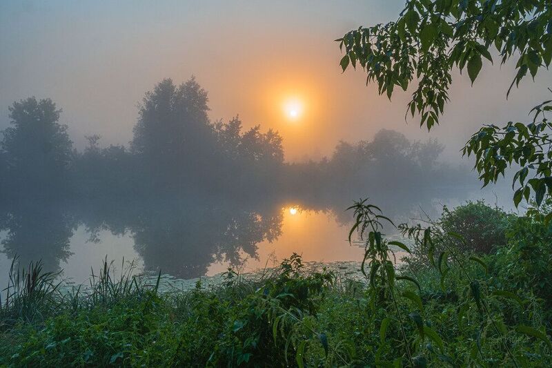 Летнее утро.photo preview