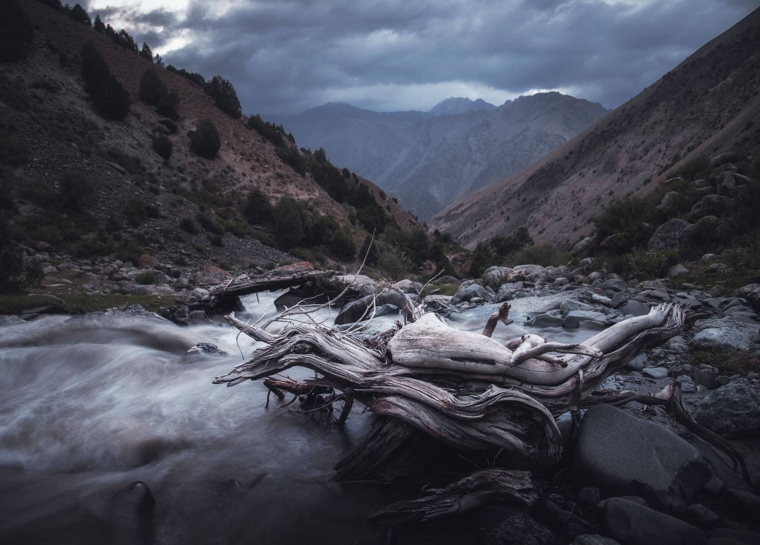 Автор: Грамаков Юрий , Грамаков Юрий