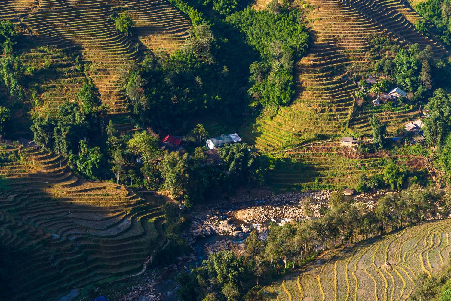 вьетнам, рисовые поля, сапа, Исаков Дмитрий