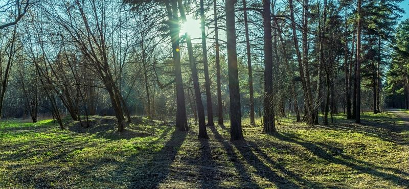 Веснаphoto preview