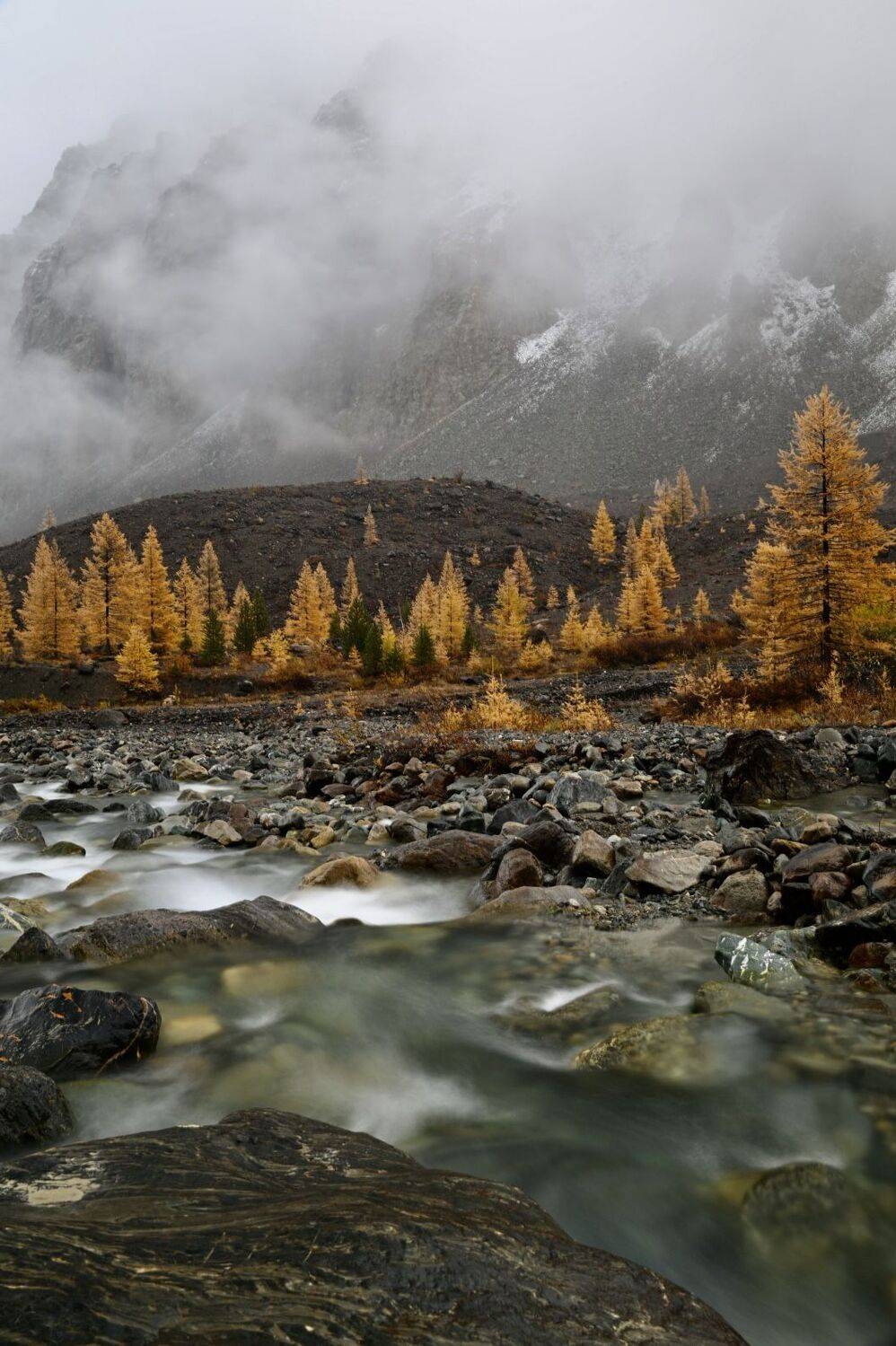 , Геннадий Кравченко