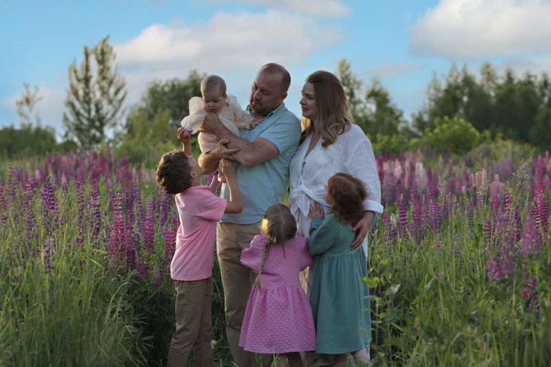 Семья, дети, лето, люпины, поле, солнечный день В полях люпиновphoto preview