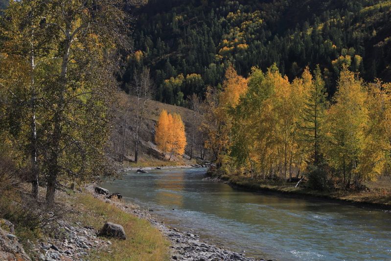 р. Чуяphoto preview