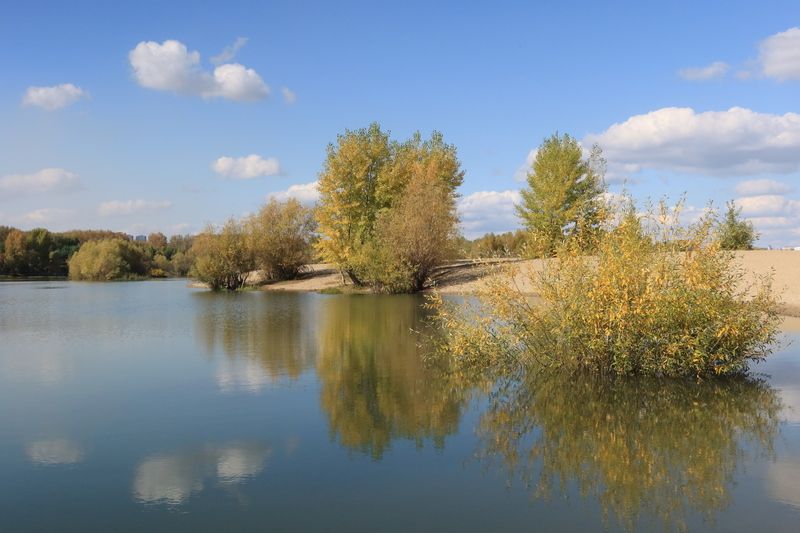 природа,осень,река,деревья,отражение Тихая осеньphoto preview