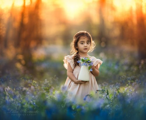 Bluebell Bliss