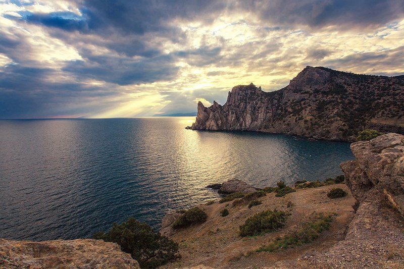 Новый светphoto preview