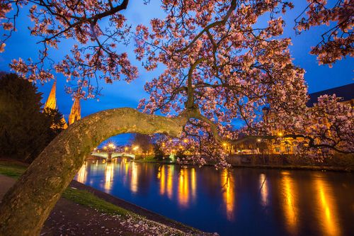 Beauty Of The Night
