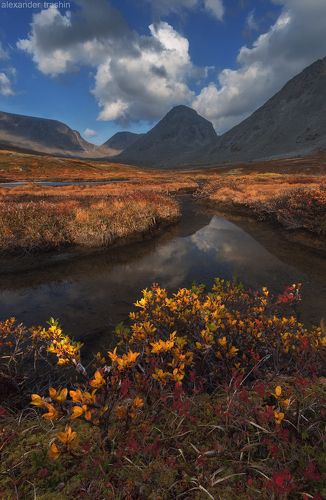 Serene Stream