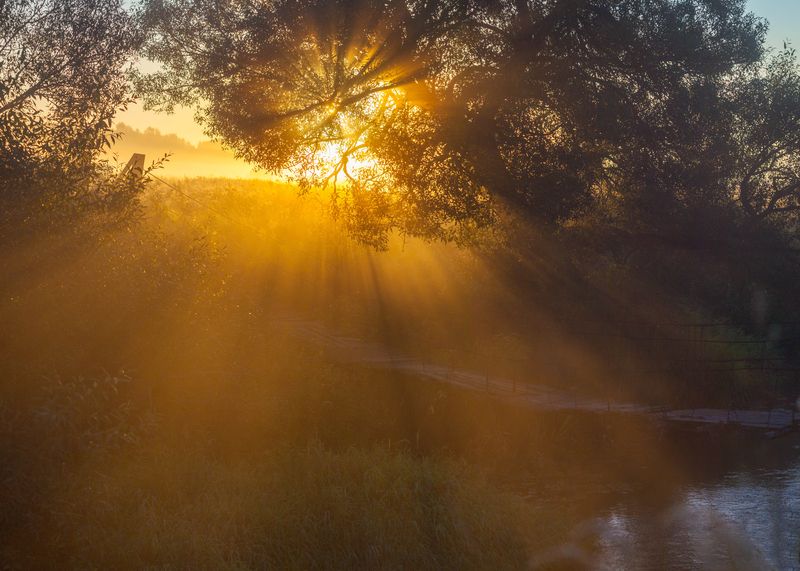 рассвет, солнце , туман photo preview