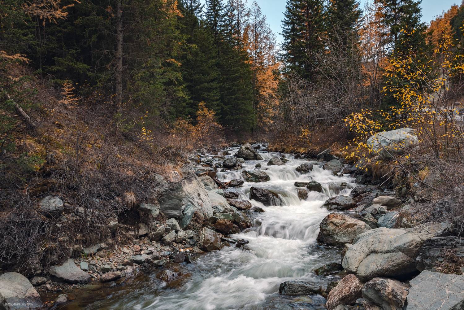 алтай, республика алтай, природа, река чибитка, осень, золотая осень, Vasilyev Andrey