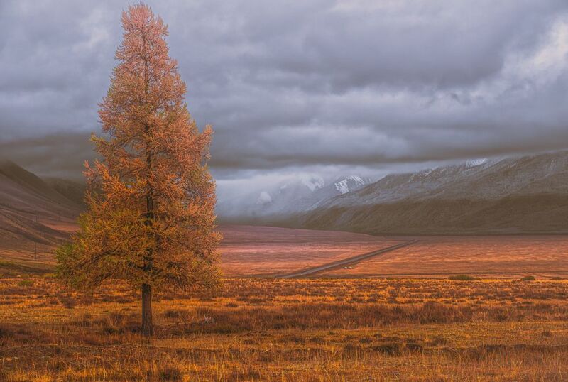 Чуйский тракт.photo preview