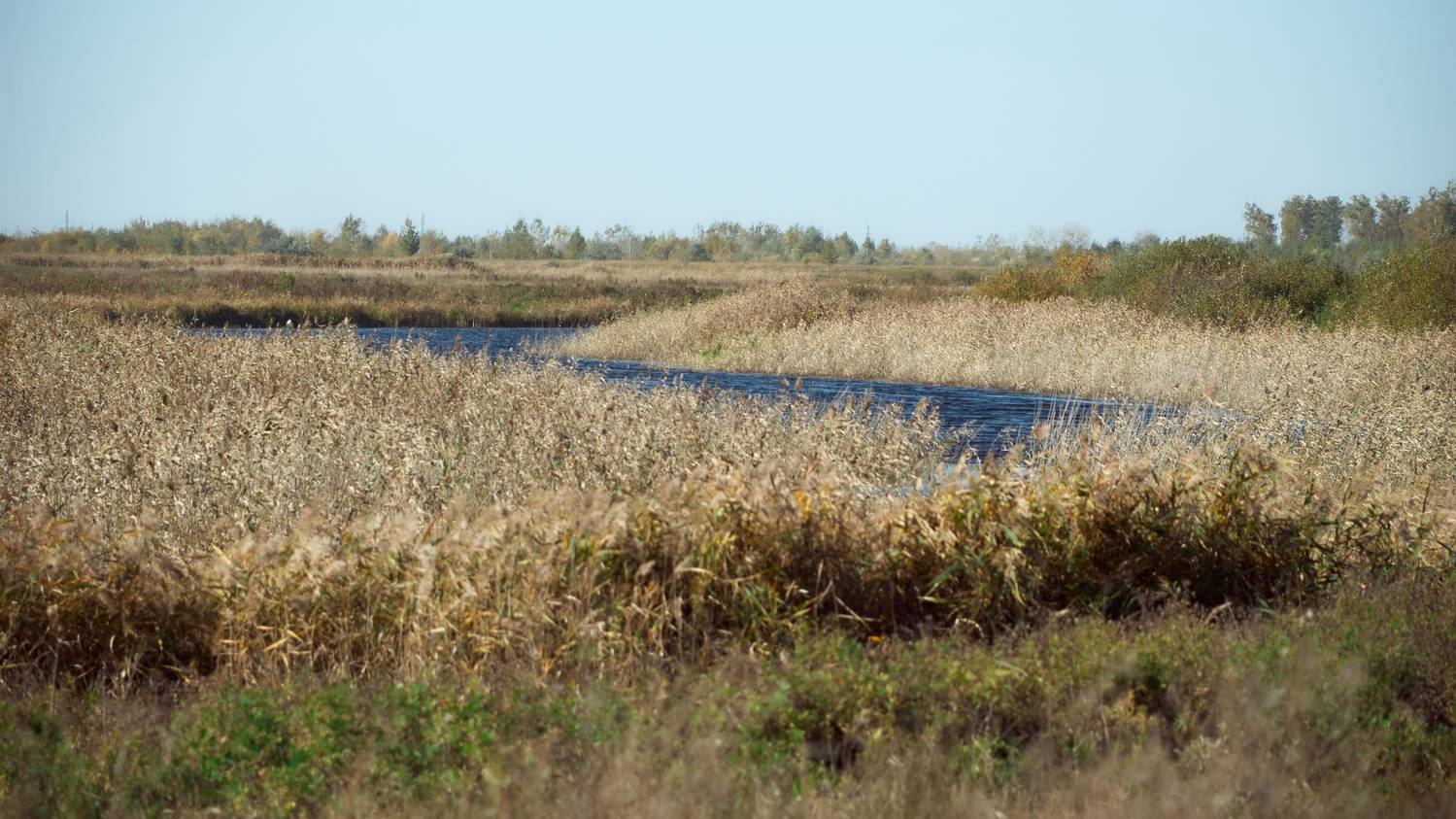 Автор: Morozoff Aleks , Morozoff Aleks