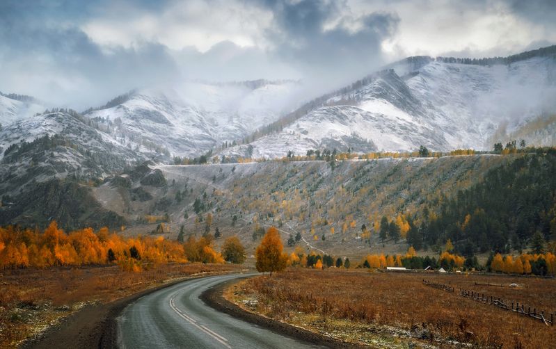 По  Чемальскому  тракту...photo preview