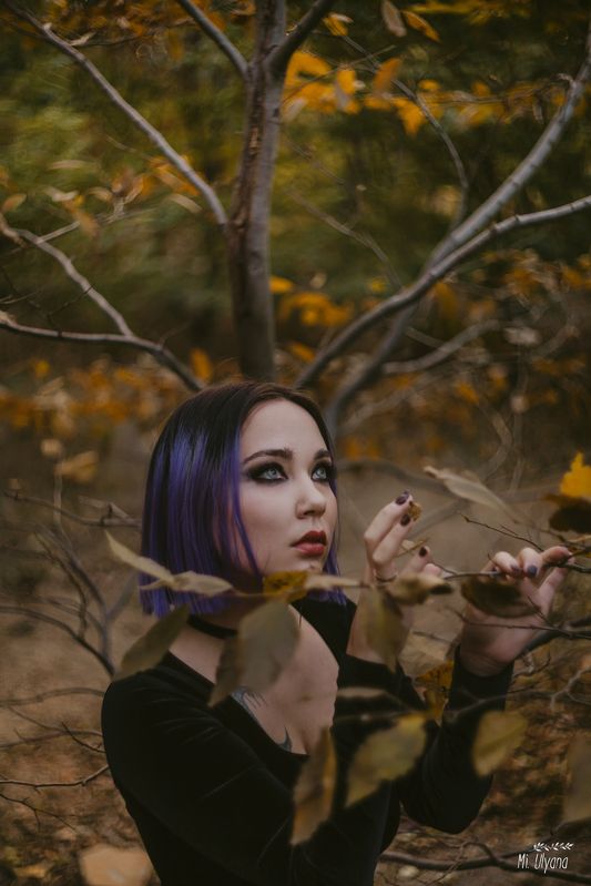 Никаphoto preview