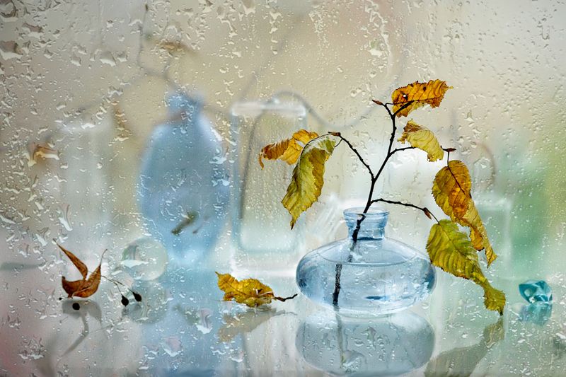 натюрморт, осень, ветка, бутылка, ваза, стекло Ветка осениphoto preview