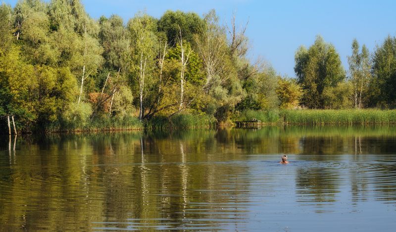 Окунуться в осень.photo preview