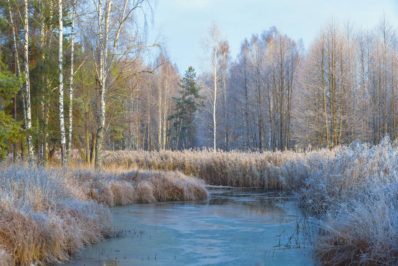 пейзаж осень утро ноябрь иней речка суворощь, Алексеев Дмитрий