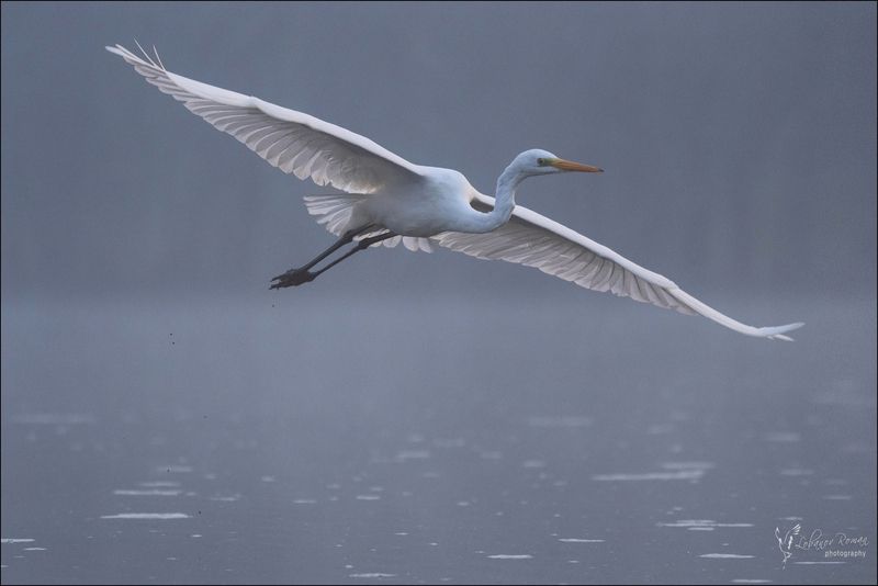 Полёт в туманеphoto preview