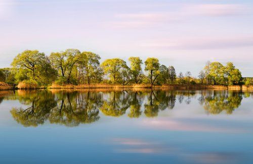 Отражение весны