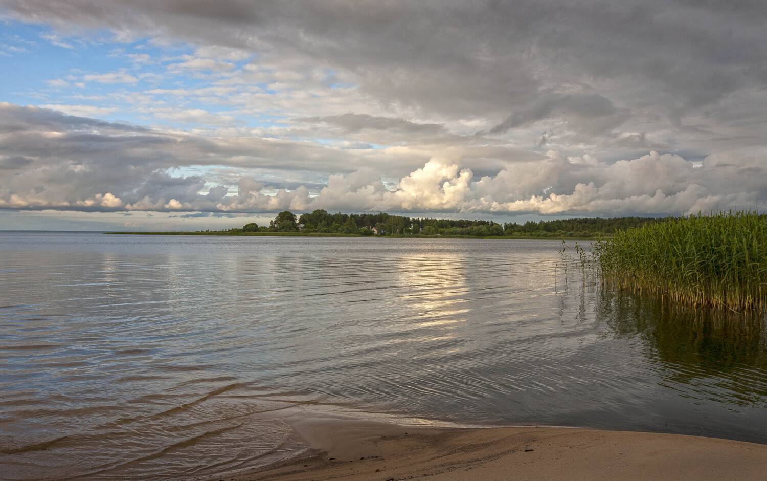 ***. Автор: cordovan , cordovan