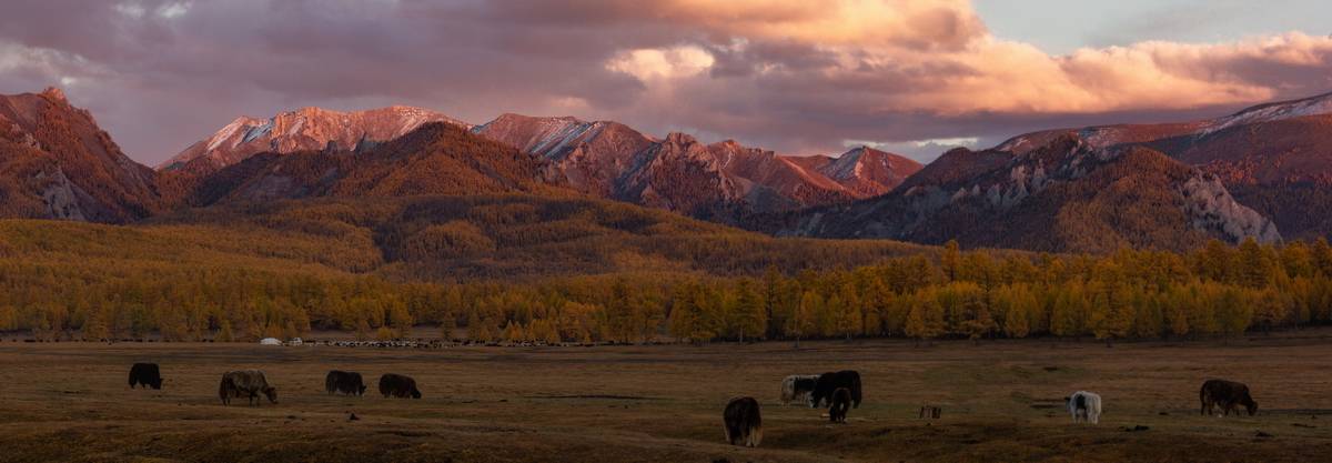 , Трофимов Алексей