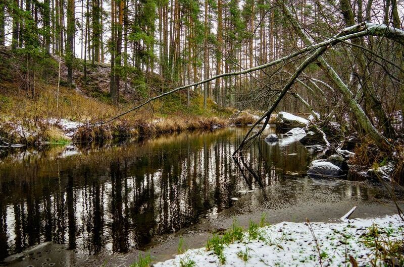 Ворота на рекеphoto preview