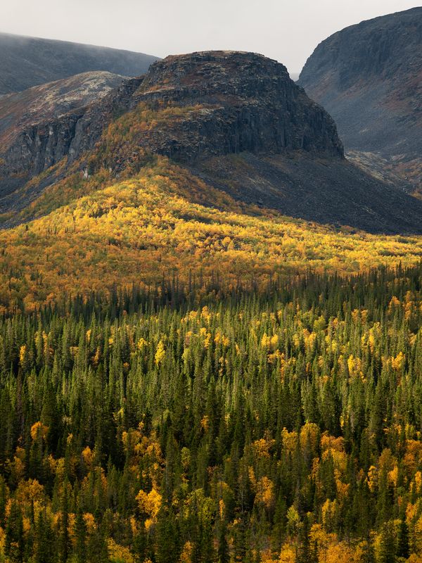Атмосфера осеннего Сейдозера.photo preview