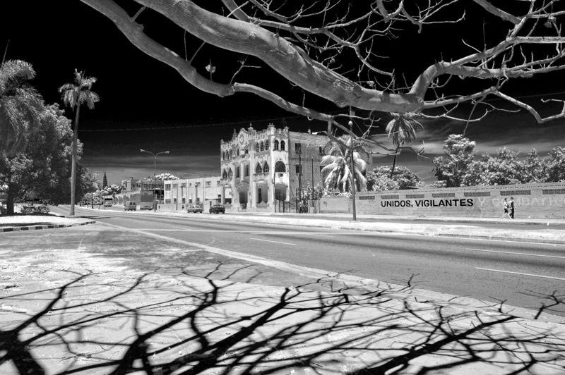 улица, тени, ветки, куба гавна Тениphoto preview