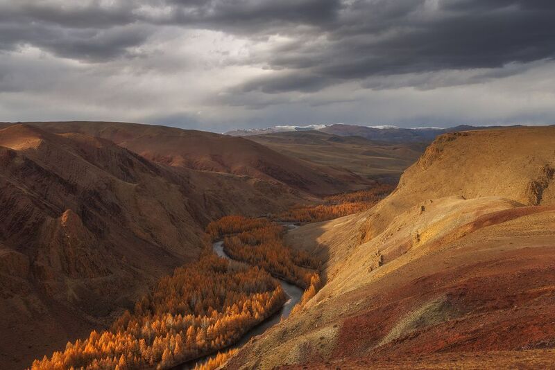 Кокоряphoto preview