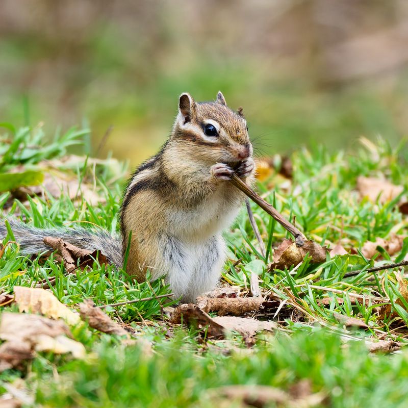 Огоньку не найдется?photo preview
