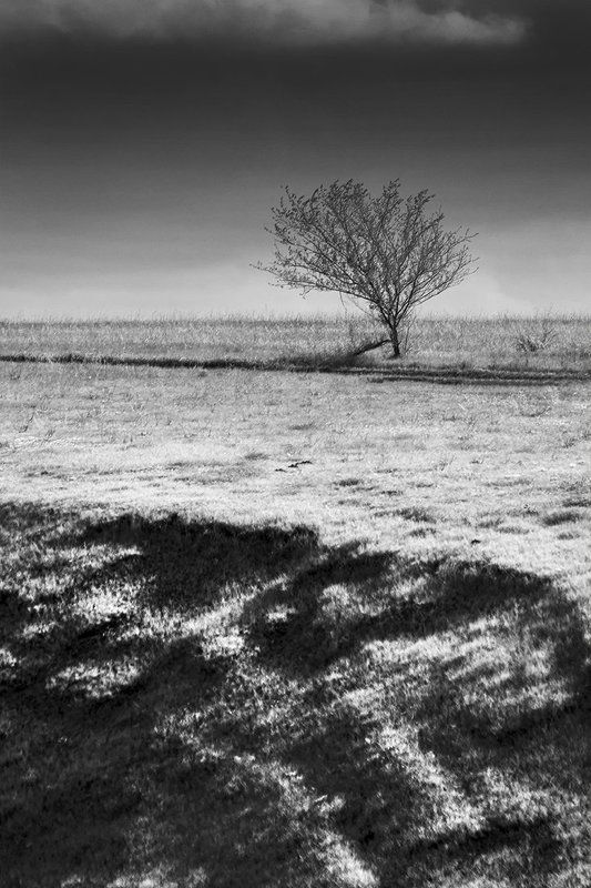 Оврагphoto preview